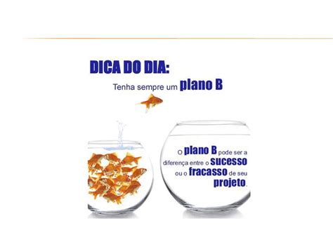 Plano b is, more than a club, an interdisciplinary venue split over two floors and a series of large rooms with different atmospheres, being a cultural area with excellent conditions for holding exhib. Compliance, Legal & Risk Management: TENHA SEMPRE UM ...