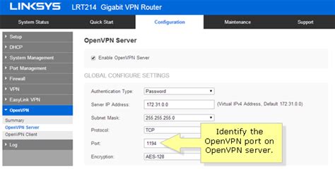 Linksys Official Support Openvpn Server Behind Nat