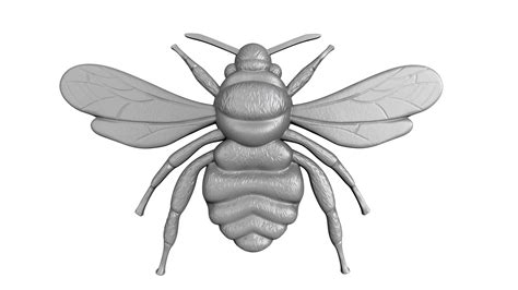 Stl Models For 3d Printing And Cnc Bee 3d Model 3d Printable Cgtrader