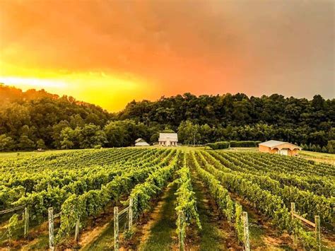 The Best Wineries In Virginia Top Recommended Wineries Vino Del Vida