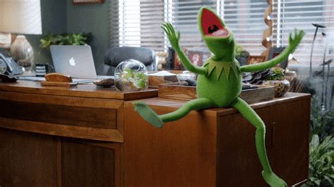 Muppets funny comedy frog henson. Excited Kermit GIF - Find & Share on GIPHY