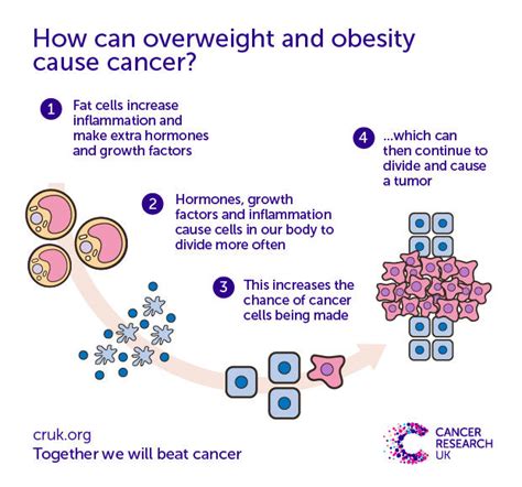 how does obesity cause cancer cancer research uk