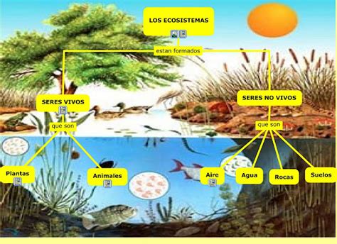 Ecositemas El Ecosistema
