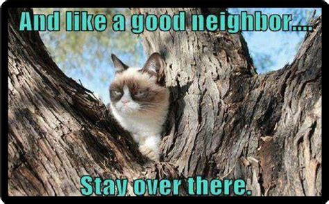 Funny Cat Humor Grumpy Cat Like A Good Neighbor