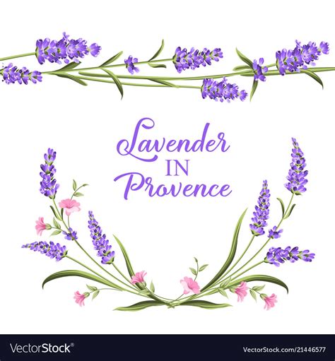 Frame Of Lavender Flowers Royalty Free Vector Image