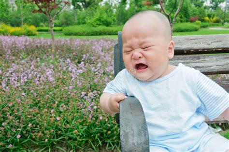 Crying Baby Park Lawn Stock Photos Free And Royalty Free Stock Photos