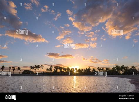 Palm Trees Reflecting Pool Atoll Matheson Hammock County Park Miami