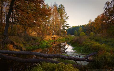 Download Wallpaper 3840x2400 River Trees Autumn Landscape 4k Ultra