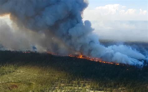 Arctic Forest Fires Caused By Global Warming Can Jeopardise Climate