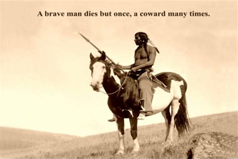 native american warrior  poster