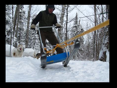 Top 10 How To Make Your Own Dog Sled Lastest Updates 102022