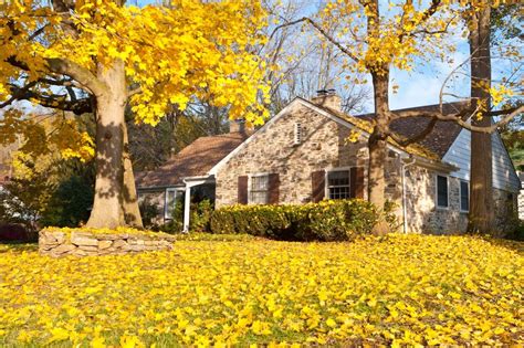 10 Ways To Prepare Your Home For Fall Insightful Resources