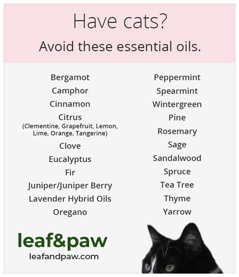 If you do some reading around the web you will come across a lot of conflicting information about cats and essential those are just a few but they could point to a toxicity problem. Are Essential Oils Toxic to Cats? | Leaf and Paw