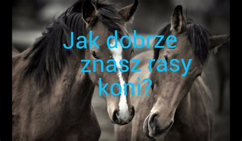 Jak Dobrze Znasz Rasy Koni SameQuizy