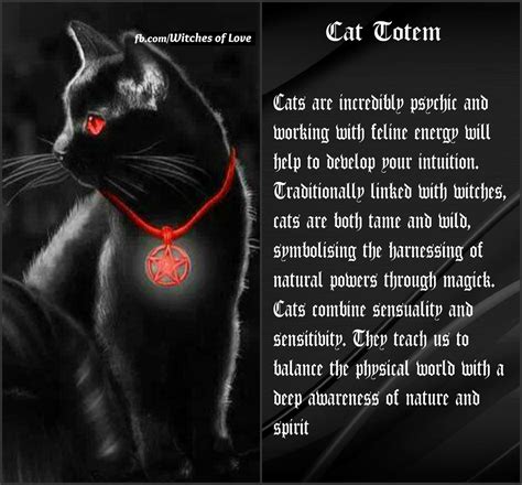 Pin By Charles Ramsden On History Paganwicca Cat Totem Cat Spirit