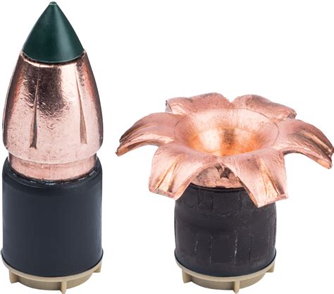 Federal Premium Bor Lock Mz Trophy Copper Muzzleloader Bullets Per
