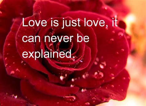 Valentines Day Quotes To Keep The Flame Of Love