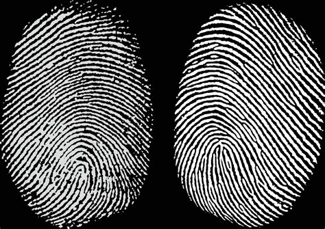 Madsnapper The Case Of The Missing Fingerprints