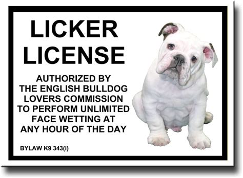 English Bulldog Licker License Fridge Magnet No 3 Funny