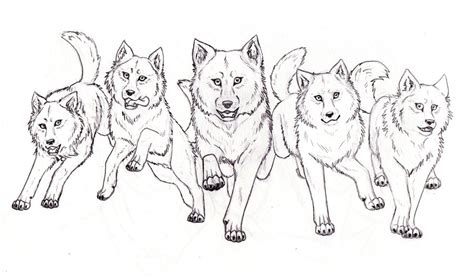 Wolf Pack Sketch At Explore Collection Of Wolf