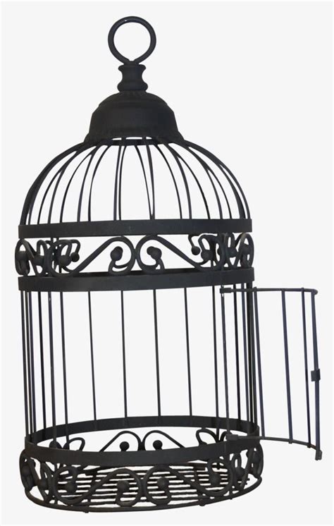 Open The Black Bird Cage Black Bird Cage Black Bird Tattoo Bird Cage
