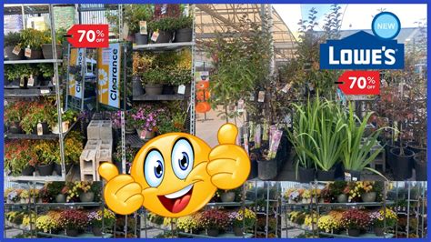 🤑70 Off Lowes Garden Center Clearance 🎉shop Lowes Clearance Plants