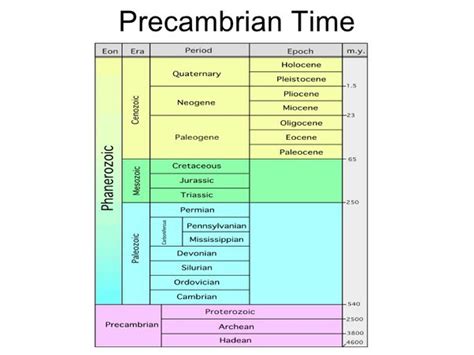 Periods And Eras Of Geological Time Scale