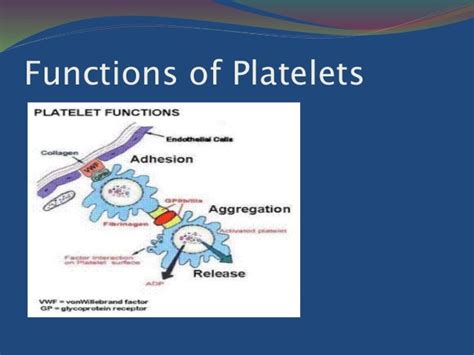 Diseases Involving Blood Platelets