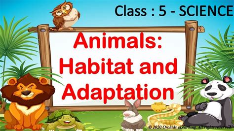 Animals Habitat And Adaptation Class 5 Science Cbse Ncert