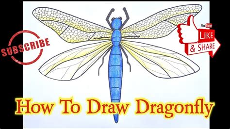 How To Draw Dragonfly Easy Dragonfly Drawing Kalakrit Art Studio