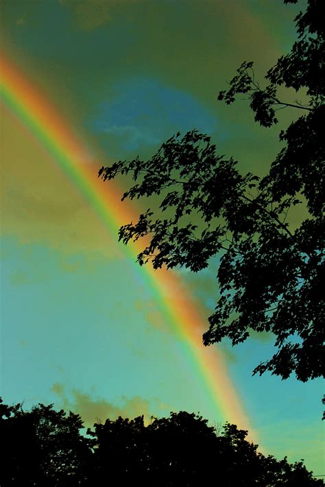 Rainbow Iris Gods Promise Rendezvous Reverie Over The Rainbow