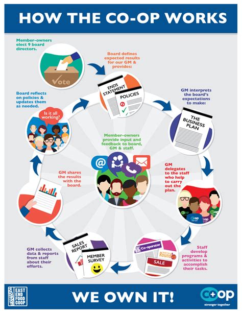 How The Co Op Works Infographic Check And Balance Business Planning