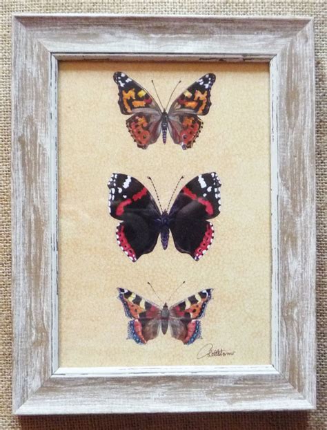 Butterfly Picture Butterfly Print Butterflies Framed Butterfly T For