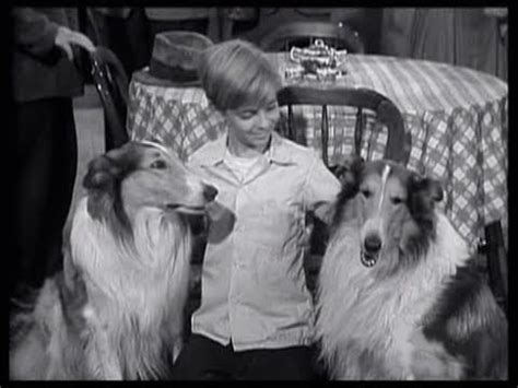 Lassie Episode 53 Lassie S Double Season 2 27 03 11 1956