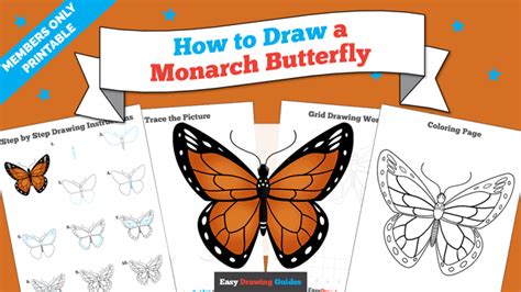 How To Draw A Monarch Butterfly Really Easy Drawing Tutorial
