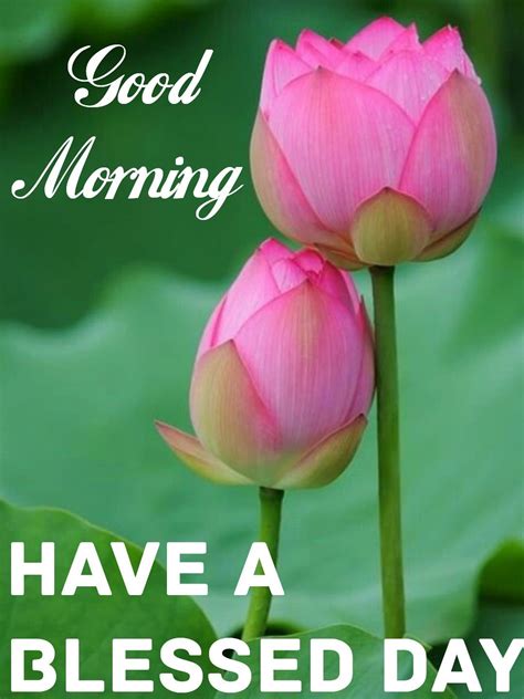 Pin by Vinayak Shetty on Good Morning | Good morning quotes, Good morning tuesday, Morning greeting