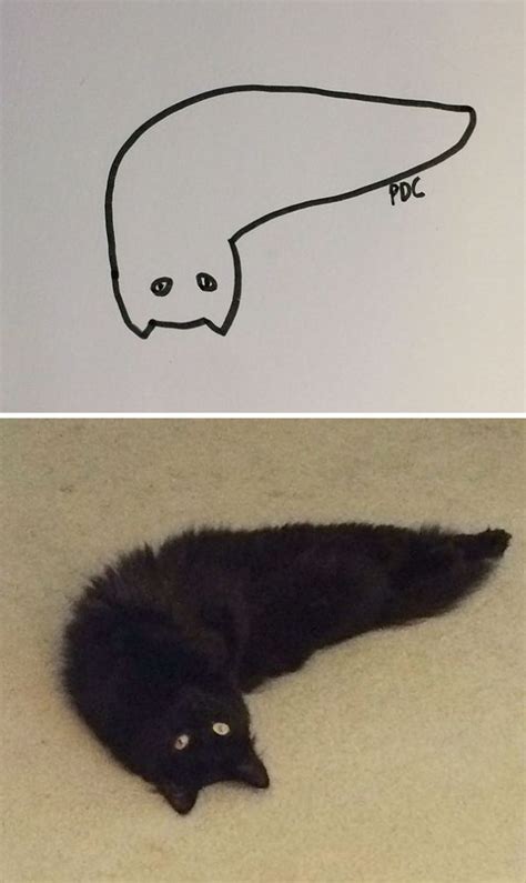 Crappy Cat Drawings That Are Actually Photorealistic Neatorama