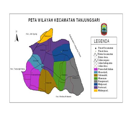 Demografi Wilayah Kerja Puskesmas Rawat Inap Tanjung Sari Lampung Selatan