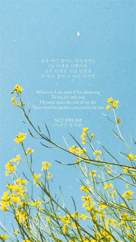 NCT DREAM — The Last Love | Kutipan lirik, Kutipan lagu, Lirik