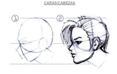 Tecnicas Para Dibujar De Daniel Zavaleta D Como Hacer Una Cabeza