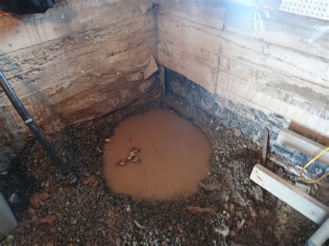 ~framboise Manor~ New Sump Pit