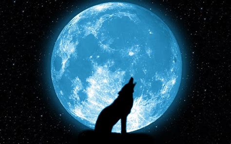 hd wallpaper full moon howl high quality hd wallpaper wolf and moon illustration wallpaper flare