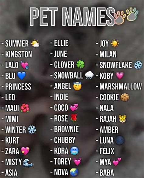 Cute Pet Names 🐒 Cute Animal Names Cute Puppy Names Cute Names