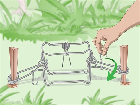 How To Set A Conibear Trap 12 Steps With Pictures Wikihow