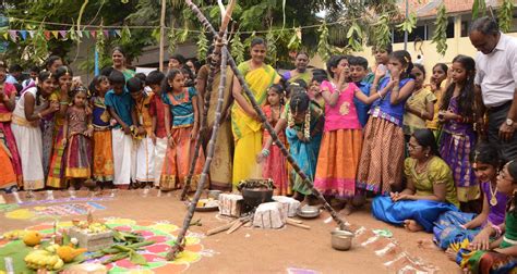 Pongal Celebrations Kicks Off Across Tamil Nadu The New Indian Express