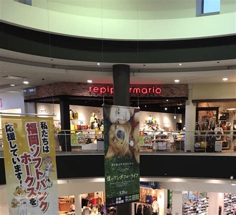 中国 鳥取 島根 岡山 広島 山口. イオンモール福岡 クチコミガイド【フォートラベル】|篠栗・粕屋