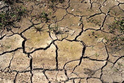무료 이미지 분기 들 바닥 마른 흙 자연 재해 재앙 갈증 행사 균열 가뭄 지질 학적 현상 비가 내리지