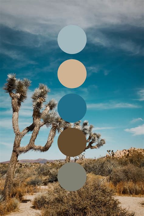 Get Color Palette Inspiration From Nature