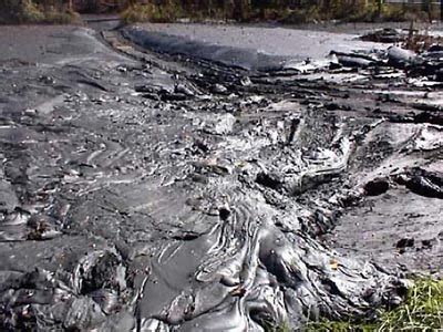 Namun ia lebih kepada kefahaman environmentalisme. Alam Sekitar: Keburukan dan Kesan Tidak Menjaga Alam Sekitar