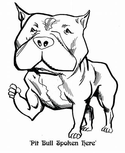 Pitbull Coloring Bull Pages Dog Sketch Drawing